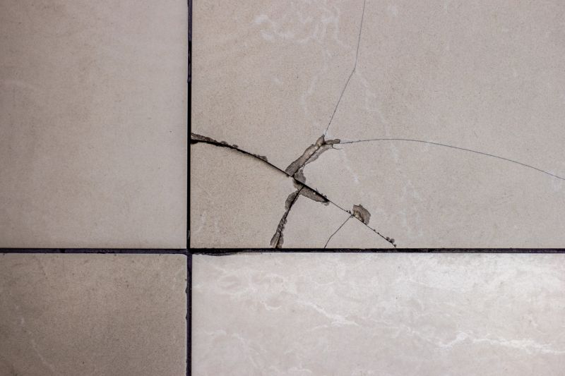 Specialized Tile Restoration Experts